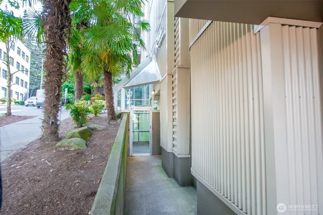 a view of a house with a tree