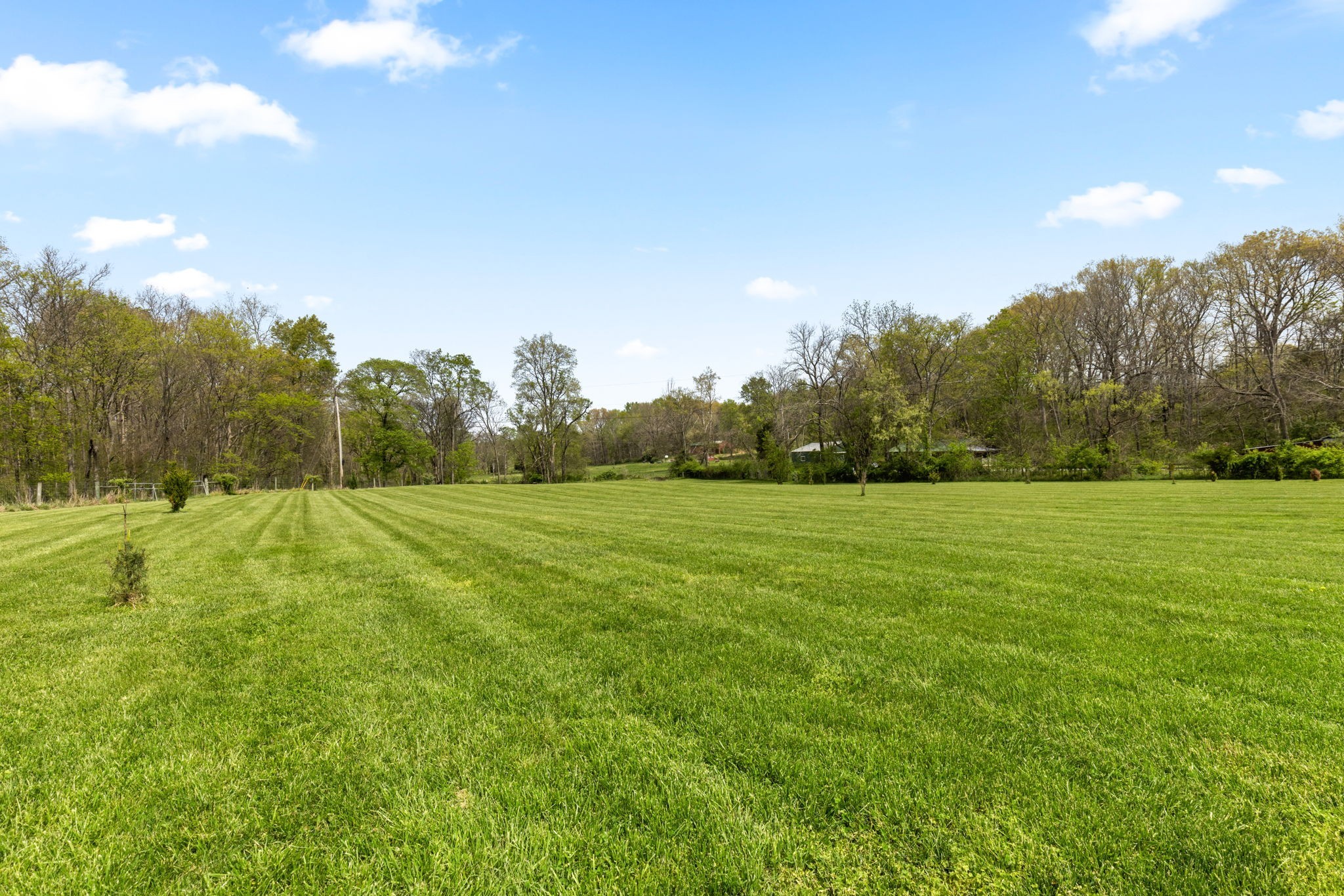 6012 Bethlehem Road Springfield, TN 37172 - Photo 48 of 60