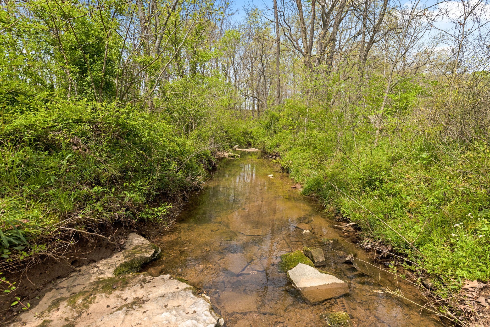 6012 Bethlehem Road Springfield, TN 37172 - Photo 50 of 60