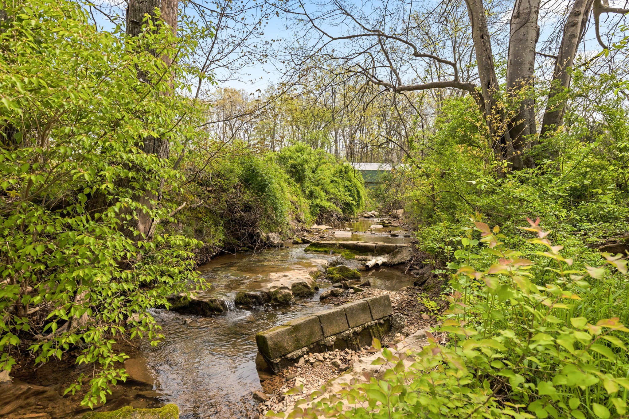 6012 Bethlehem Road Springfield, TN 37172 - Photo 51 of 60