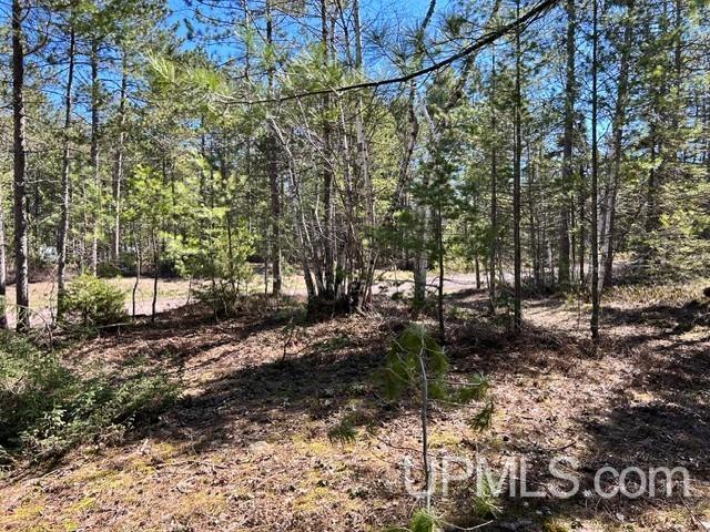 61 Little Rice Lk Road Lake Linden, MI 49945 - Photo 12 of 29