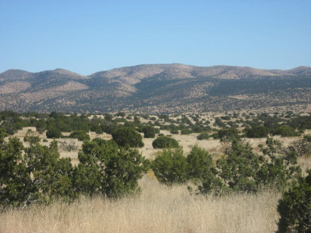 Lot 188 Pinon Springs Ranch Magdalena, NM 87825 - Photo 1 of 10 Gallery Image 1