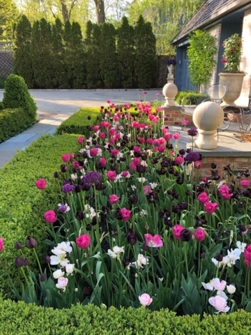 1291 Elm Tree Road Lake Forest, IL 60045 - Photo 39 of 56 a view of yard with fountain and flowers