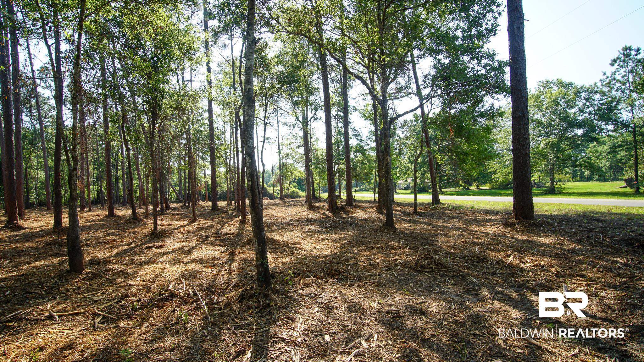 0 Antietam Road Lillian, AL 36549 - Photo 32 of 32