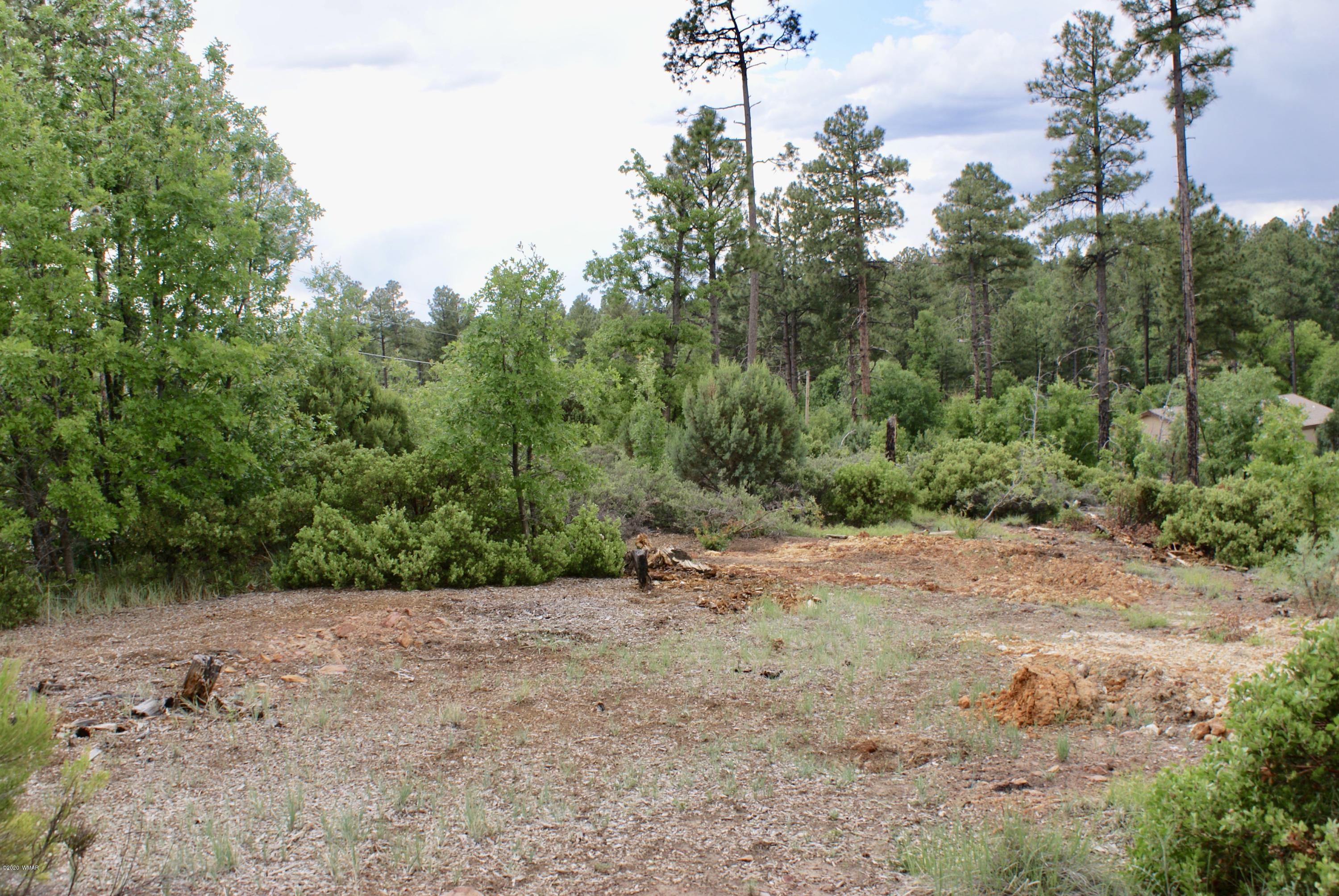 882 Geronimo Lane Show Low, AZ 85901 - Photo 1 of 7
