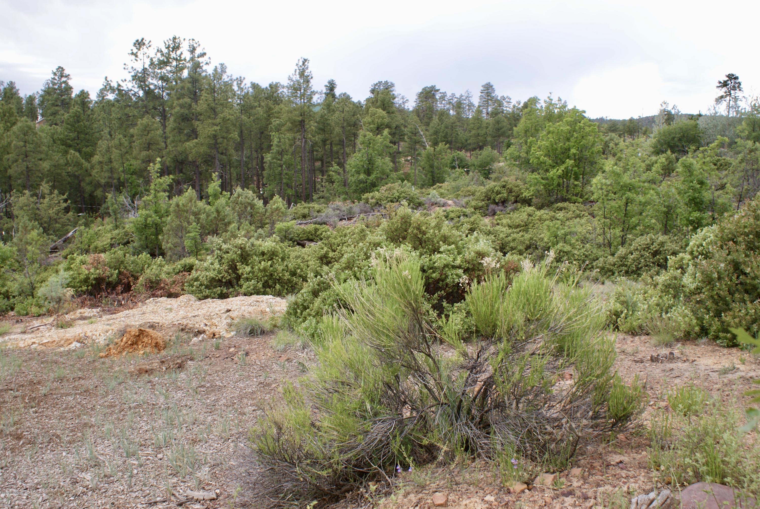 882 Geronimo Lane Show Low, AZ 85901 - Photo 3 of 7