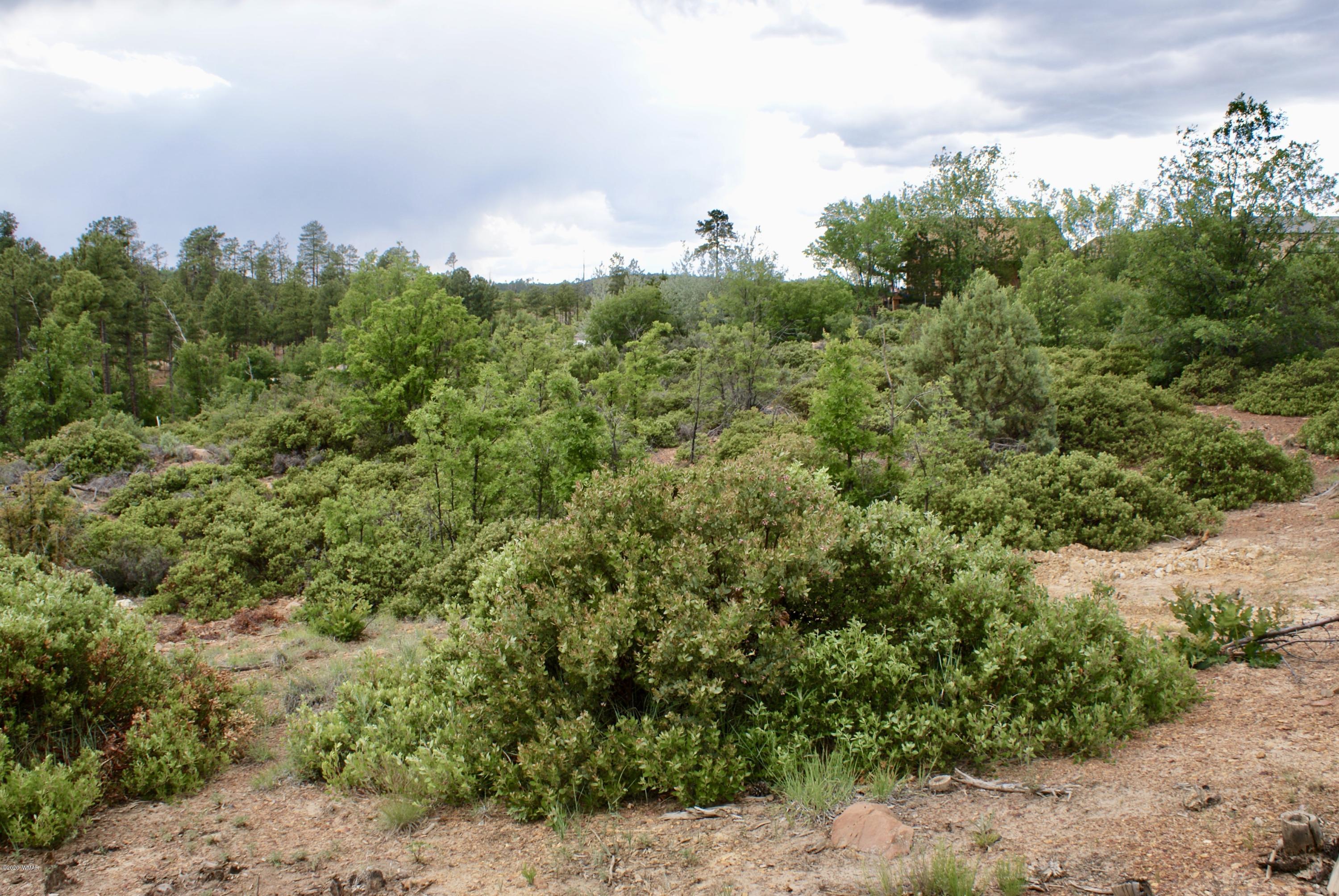 882 Geronimo Lane Show Low, AZ 85901 - Photo 4 of 7