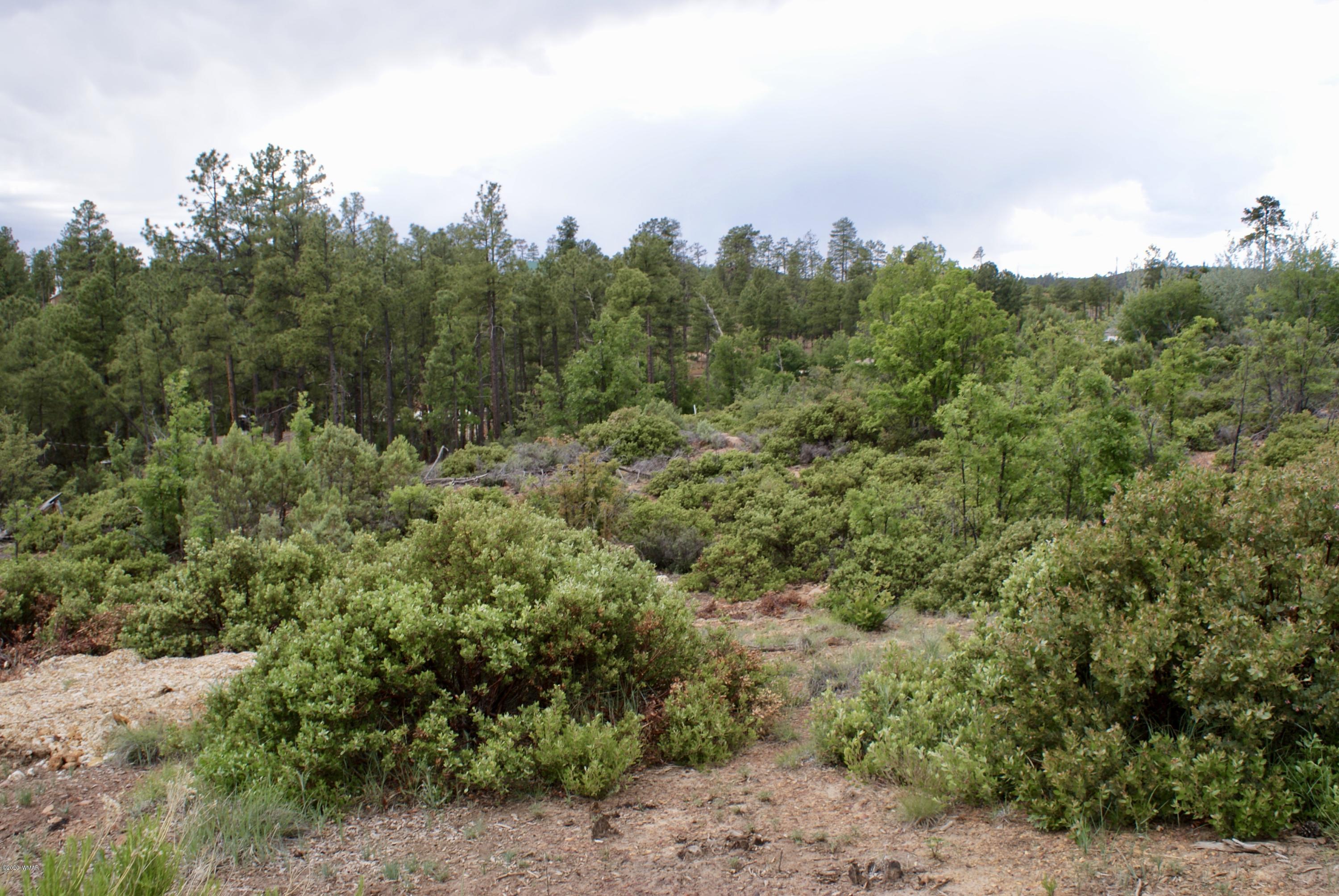 882 Geronimo Lane Show Low, AZ 85901 - Photo 5 of 7