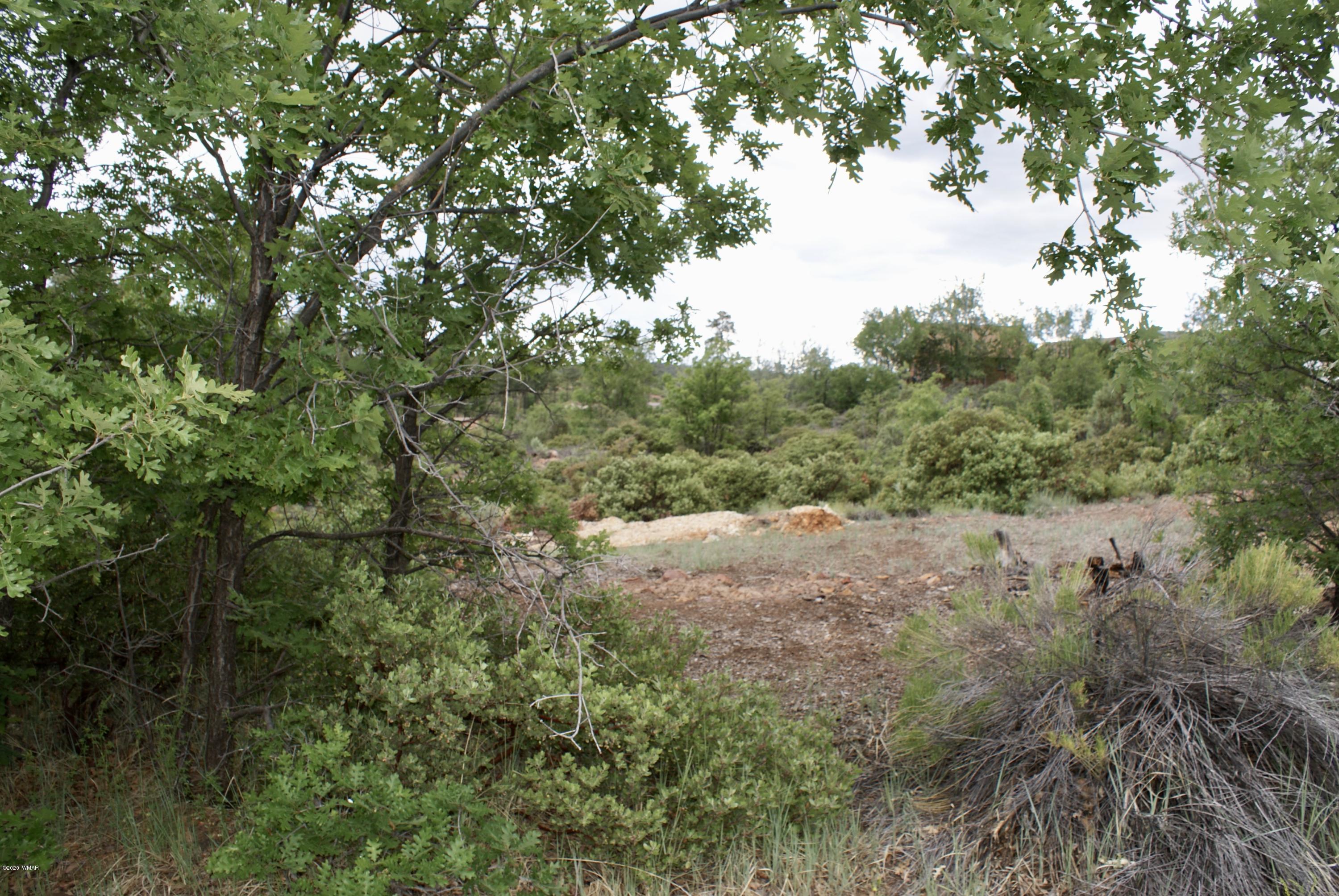 882 Geronimo Lane Show Low, AZ 85901 - Photo 7 of 7