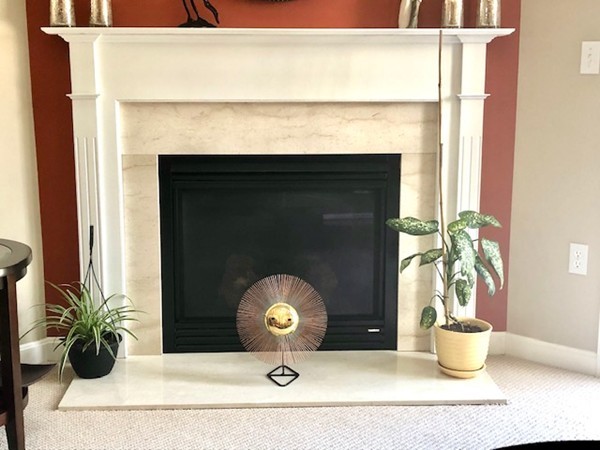 113 Ariel Circle, Unit 113 Sutton, MA 01590 - Photo 3 of 39 a close view of a fireplace with potted plant