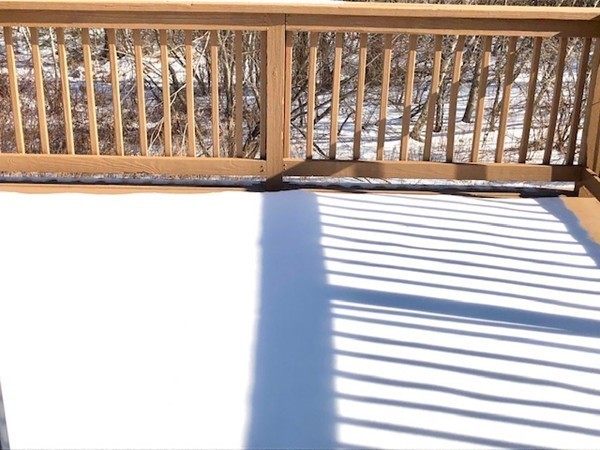 113 Ariel Circle, Unit 113 Sutton, MA 01590 - Photo 31 of 39 a black and white photo of a black gate