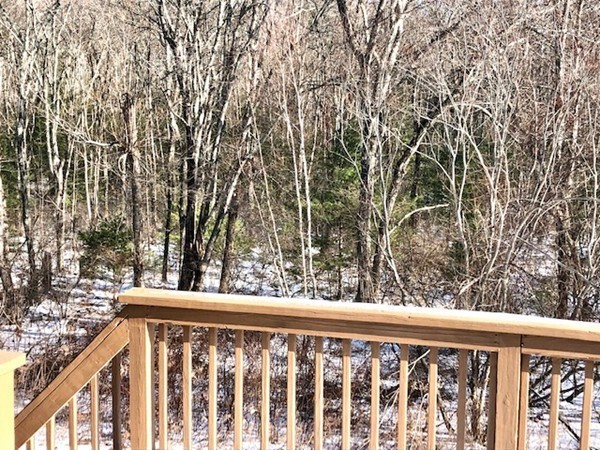 113 Ariel Circle, Unit 113 Sutton, MA 01590 - Photo 32 of 39 a view of trees from a balcony