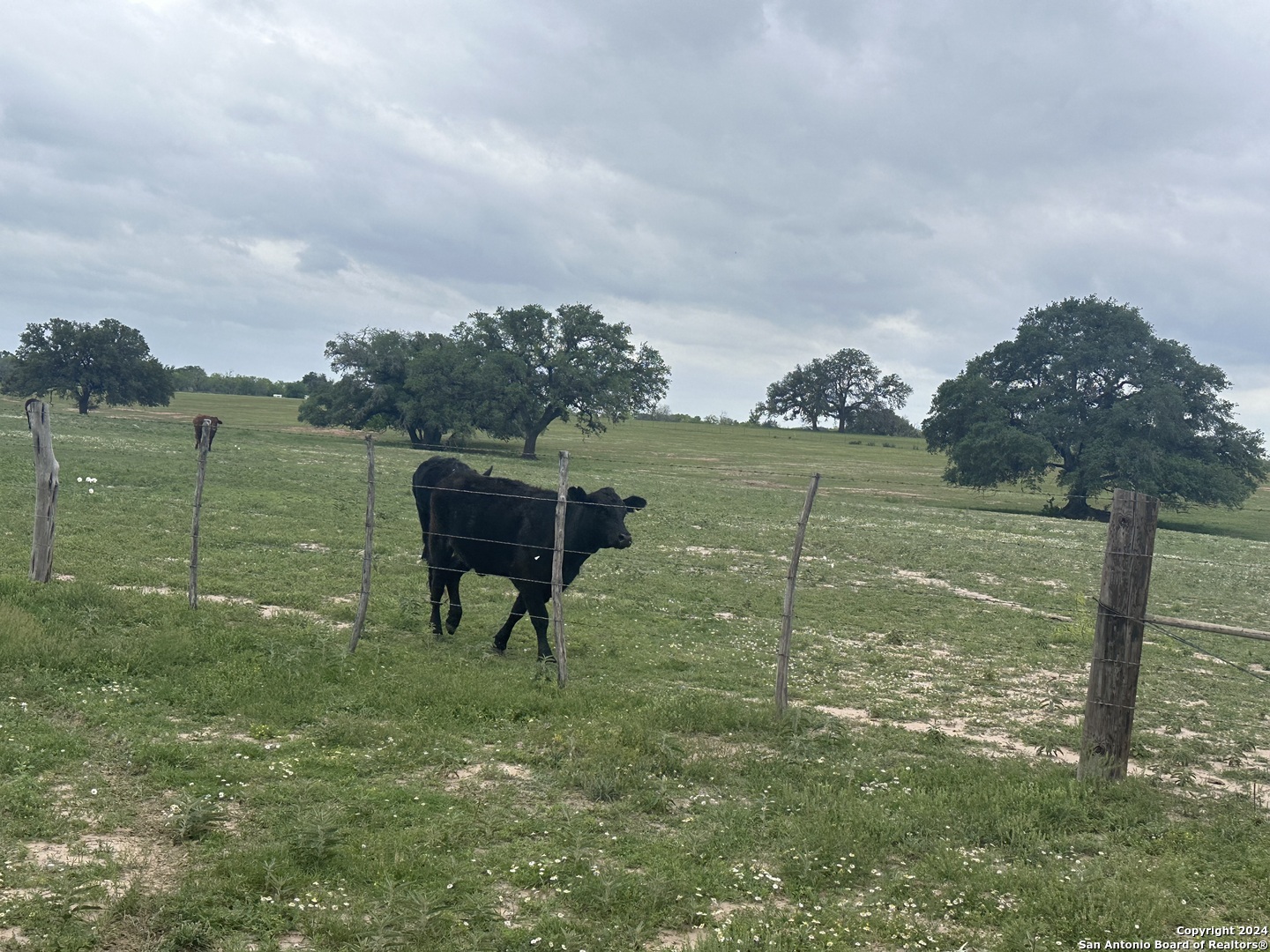 Tbd (tr 5 West Gates Valley Road Poteet, TX 78065 - Photo 6 of 6