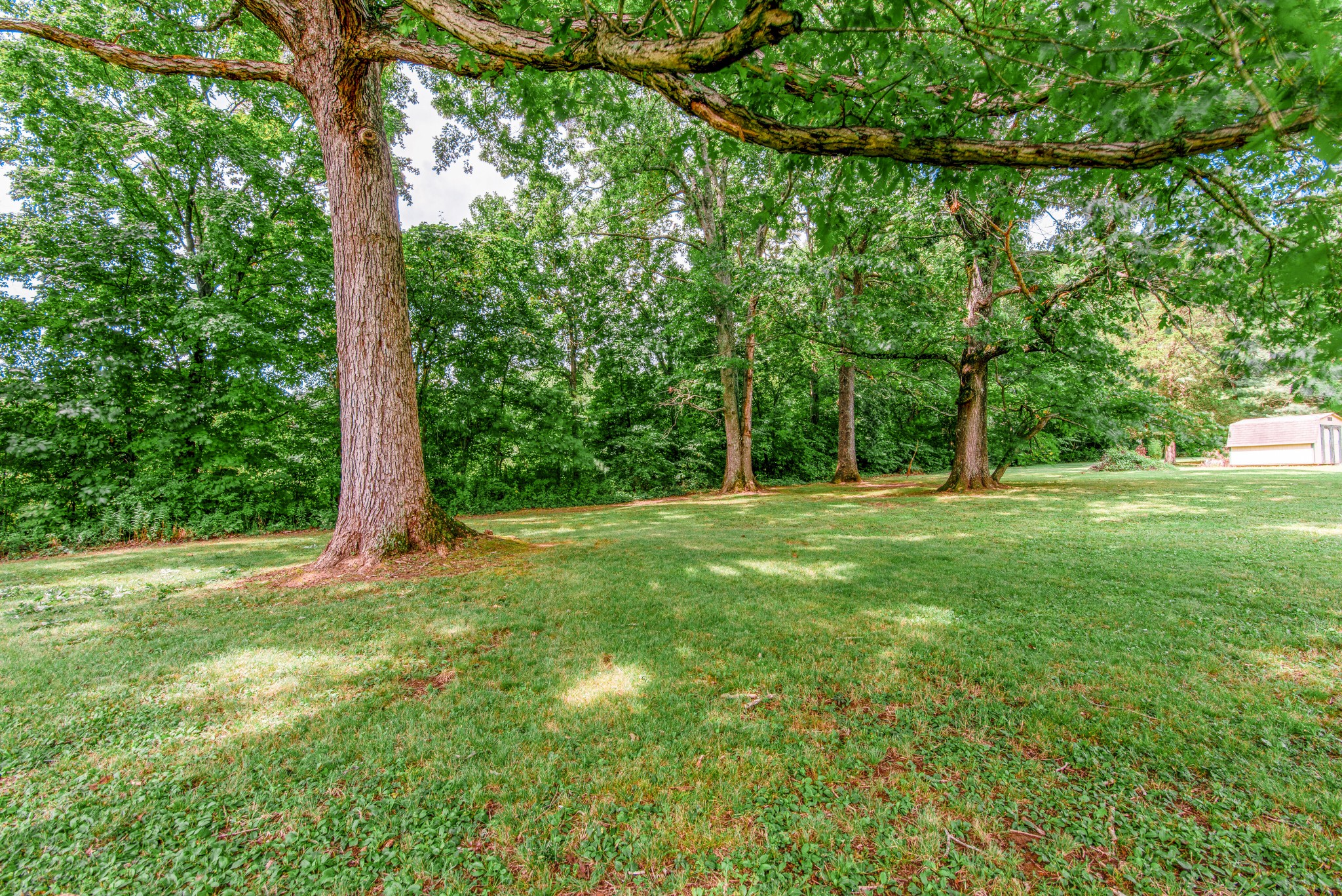 2696 Oak Grove Road Lebanon, TN 37090 - Photo 33 of 34 a view of outdoor space with deck and yard