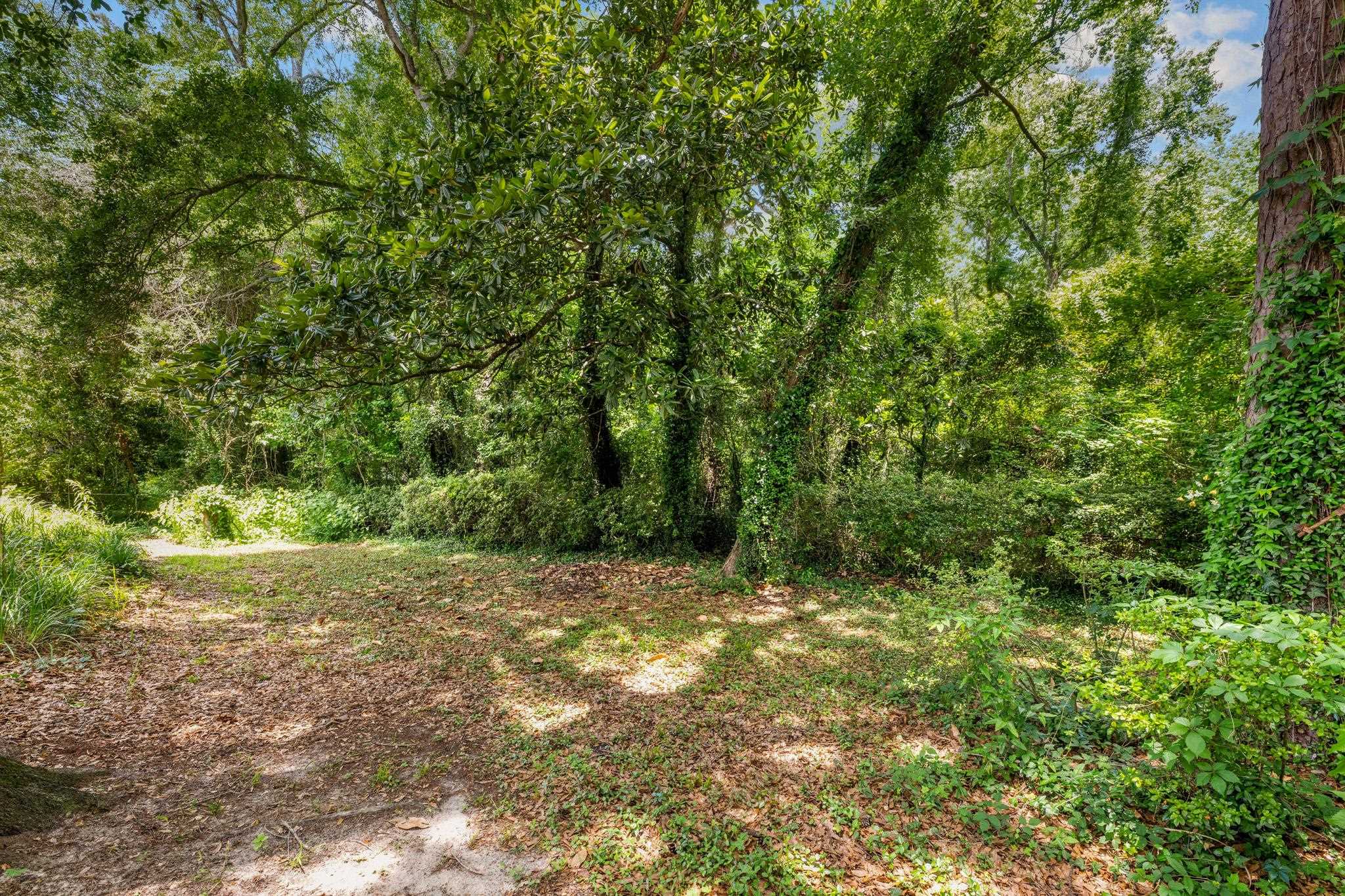 4447 Camden Road Tallahassee, FL 32303 - Photo 10 of 42 Gallery Image 10