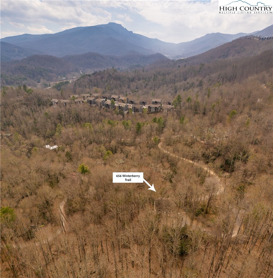 656 Winterberry Trail Boone, NC 28607 - Photo 45 of 47 a view of a city with mountain view