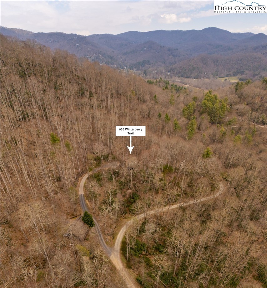 656 Winterberry Trail Boone, NC 28607 - Photo 46 of 47 a view of a lush green hillside and a building