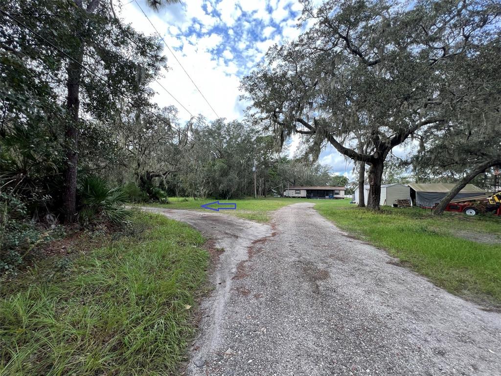 11117 McMullen Road Riverview, FL 33569 - Photo 11 of 26 a view of a park with large trees