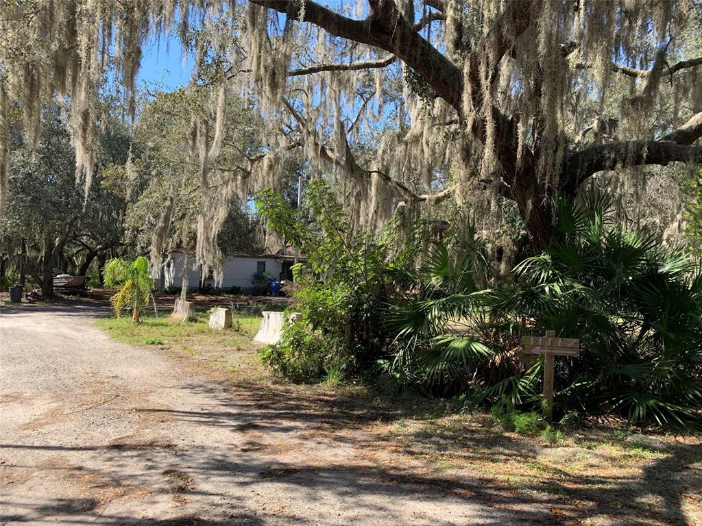 11117 McMullen Road Riverview, FL 33569 - Photo 18 of 26 a view of street along with trees