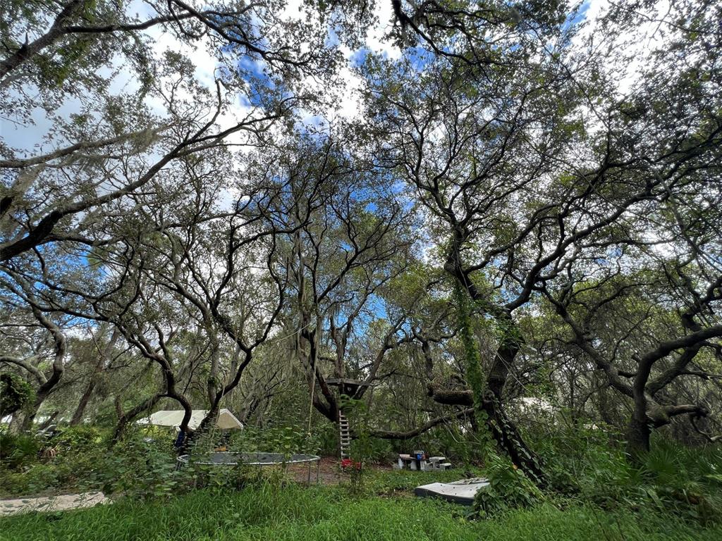 11117 McMullen Road Riverview, FL 33569 - Photo 20 of 26 a backyard of a house with lots of green space
