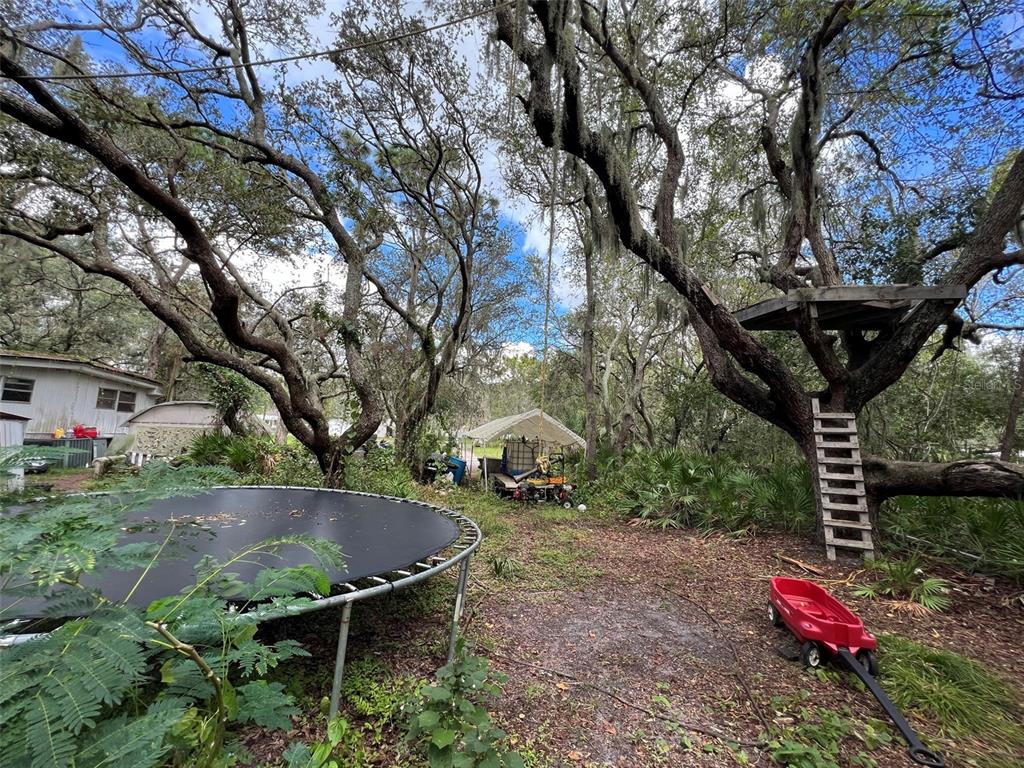 11117 McMullen Road Riverview, FL 33569 - Photo 21 of 26 a view of outdoor space and yard