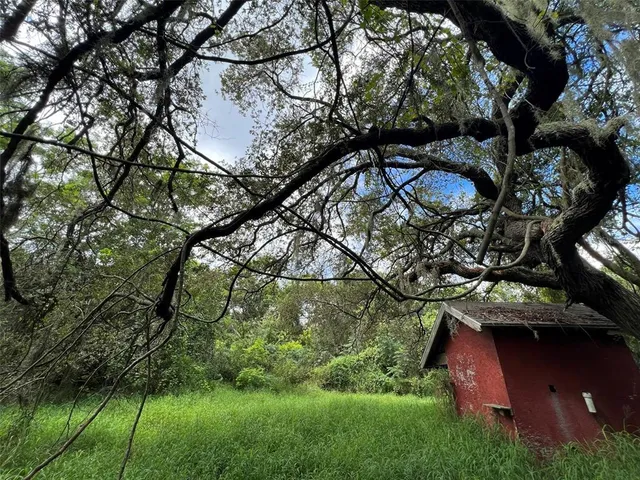 a view of an outdoor space and a yard