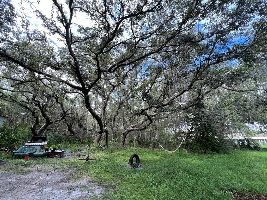 11117 McMullen Road Riverview, FL 33569 - Photo 25 of 26 a view of outdoor space with deck and yard