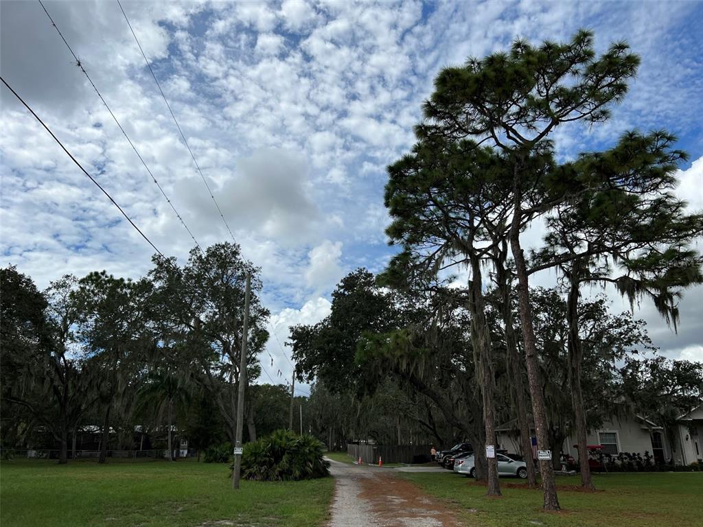 11117 McMullen Road Riverview, FL 33569 - Photo 8 of 26 a backyard of a house with lots of green space