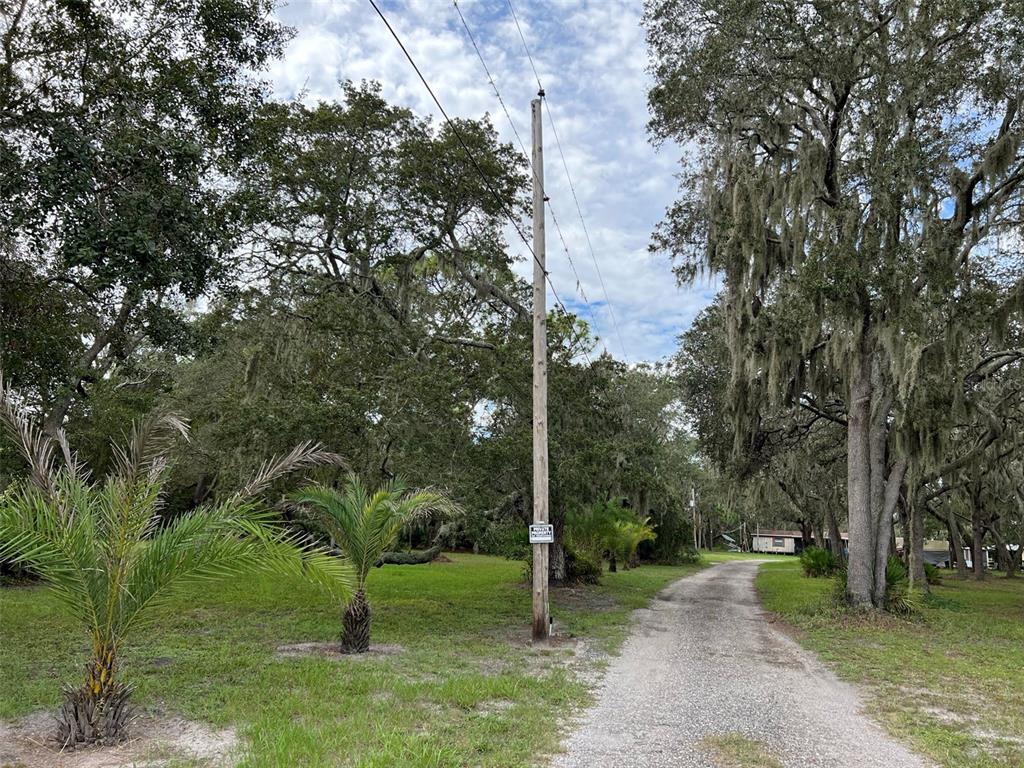 11117 McMullen Road Riverview, FL 33569 - Photo 10 of 26 a view of a park with large trees