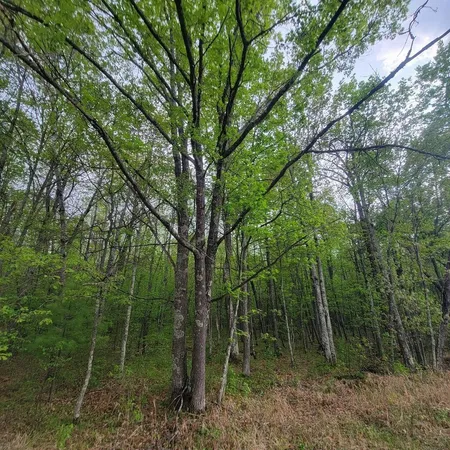 $33,500 | Lot 11 County Road A, Spooner, WI 54801