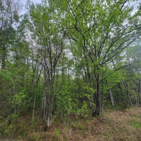 $34,900 | Lot 11 County Road A, Spooner, WI 54801