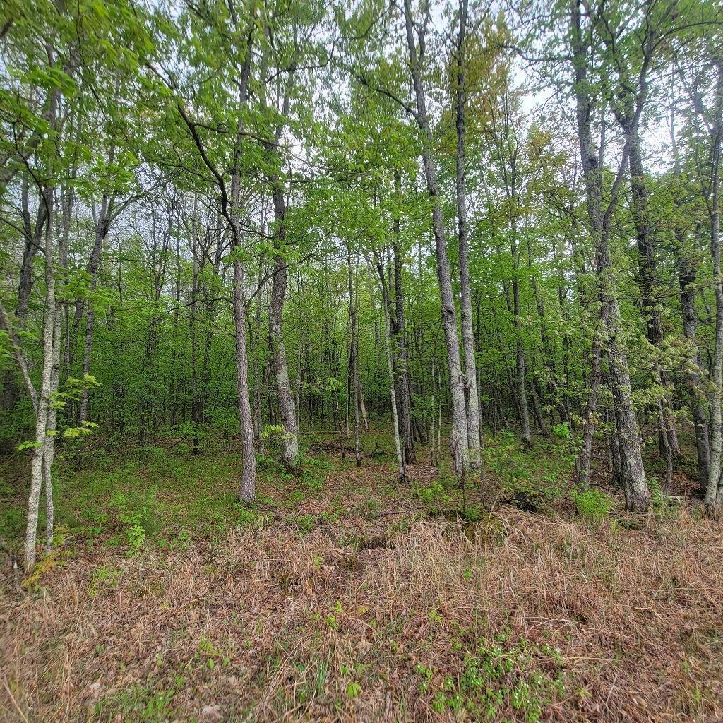 Lot 11 County Road A Spooner, WI 54801 - Photo 3 of 8