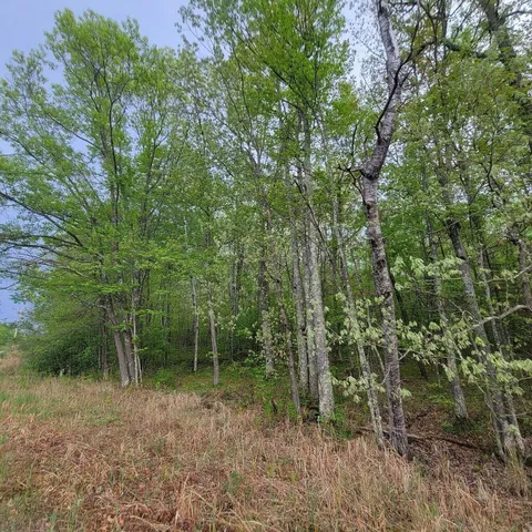 $33,500 | Lot 11 County Road A, Spooner, WI 54801