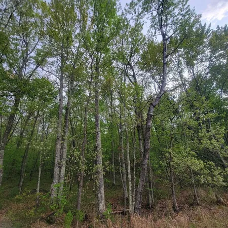 $33,500 | Lot 11 County Road A, Spooner, WI 54801
