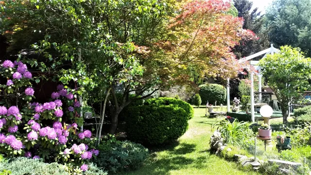 a view of flowers in a garden