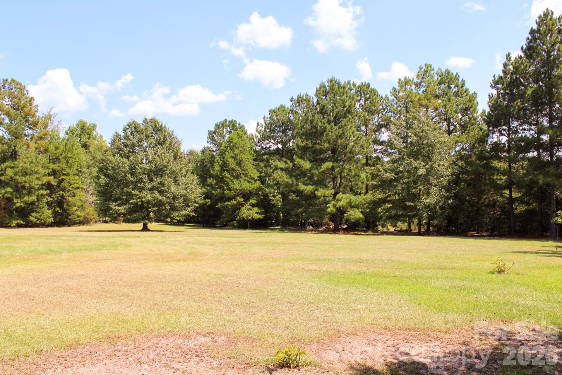 4171 Old Hills Bridge Road Enoree, SC 29335 - Photo 7 of 39 Gallery Image 7