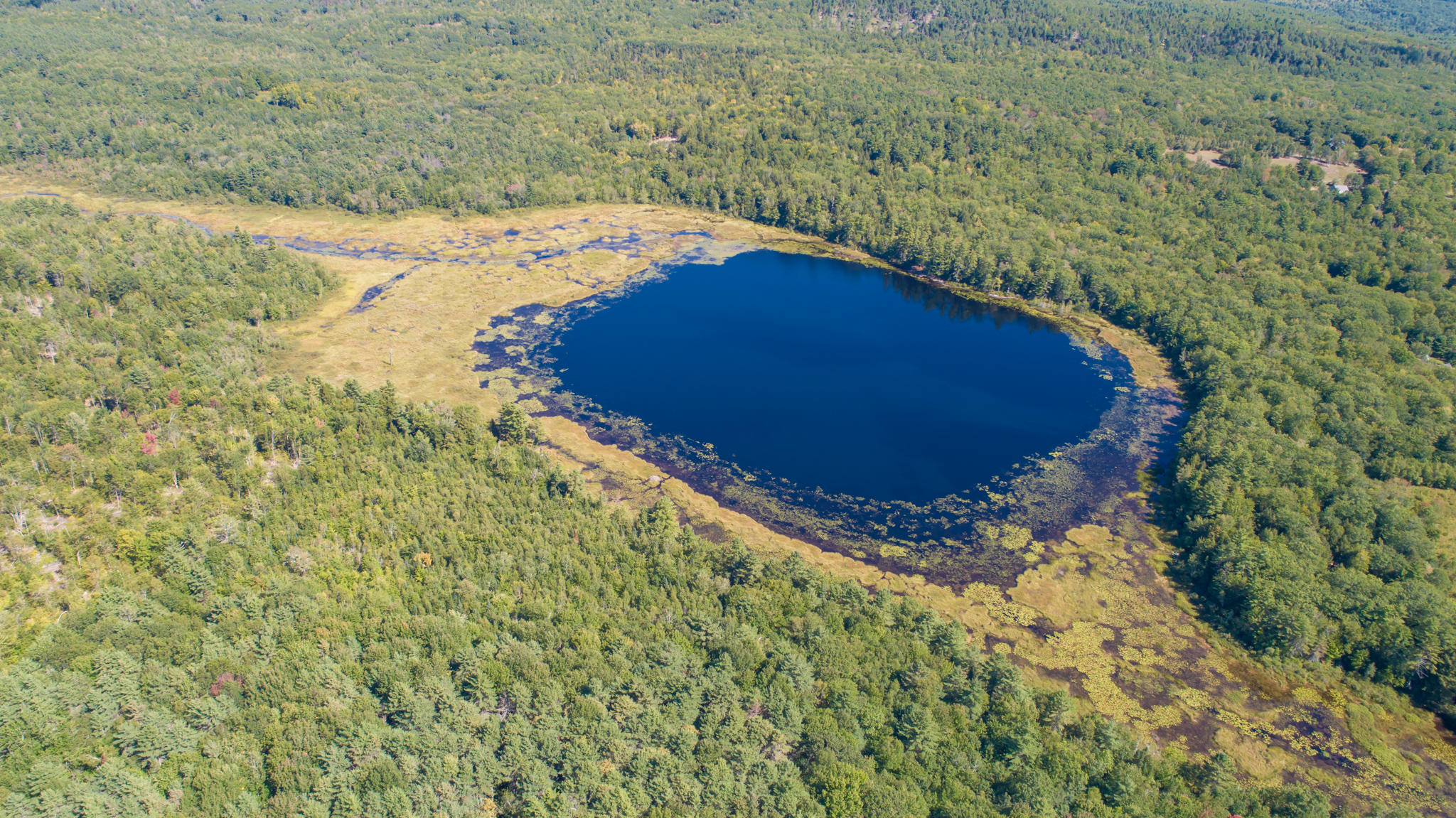 55 Sam Annis Road Hartford, ME 04220 - Photo 17 of 17 DJI_0108