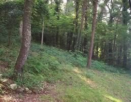 0 Jenkins Road Chattanooga, TN 37421 - Photo 1 of 1 Primary Photo
