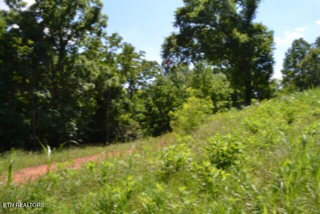2390 Pea Ridge Fire Tower Road Celina, TN 38551 - Photo 48 of 58 DSC_0144