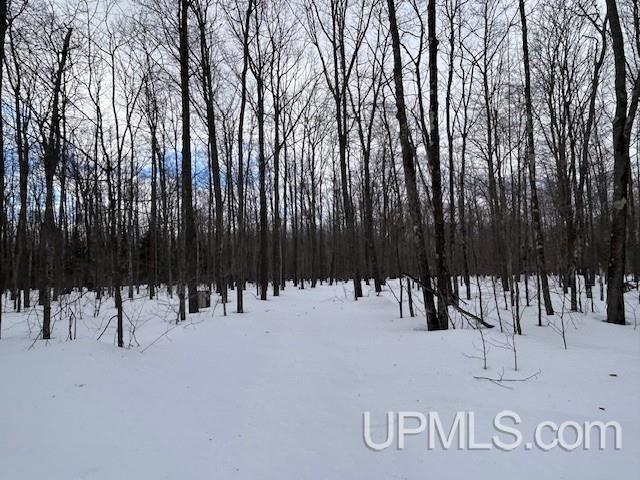 53554 North Superior Road Houghton, MI 49931 - Photo 28 of 41