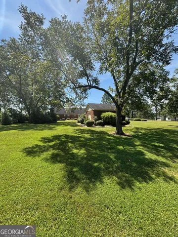 a view of a field with a tree