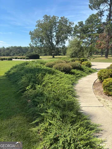 a view of a garden with a tree