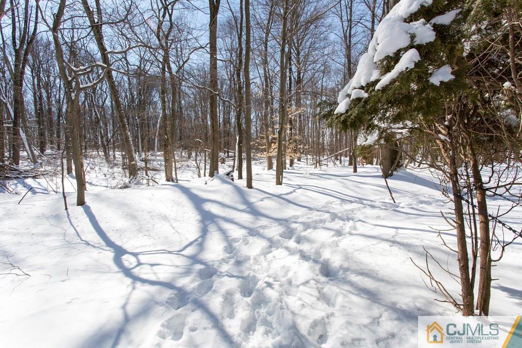 4401 Stonehedge Road, Unit 44 Edison, NJ 08820 - Photo 23 of 24