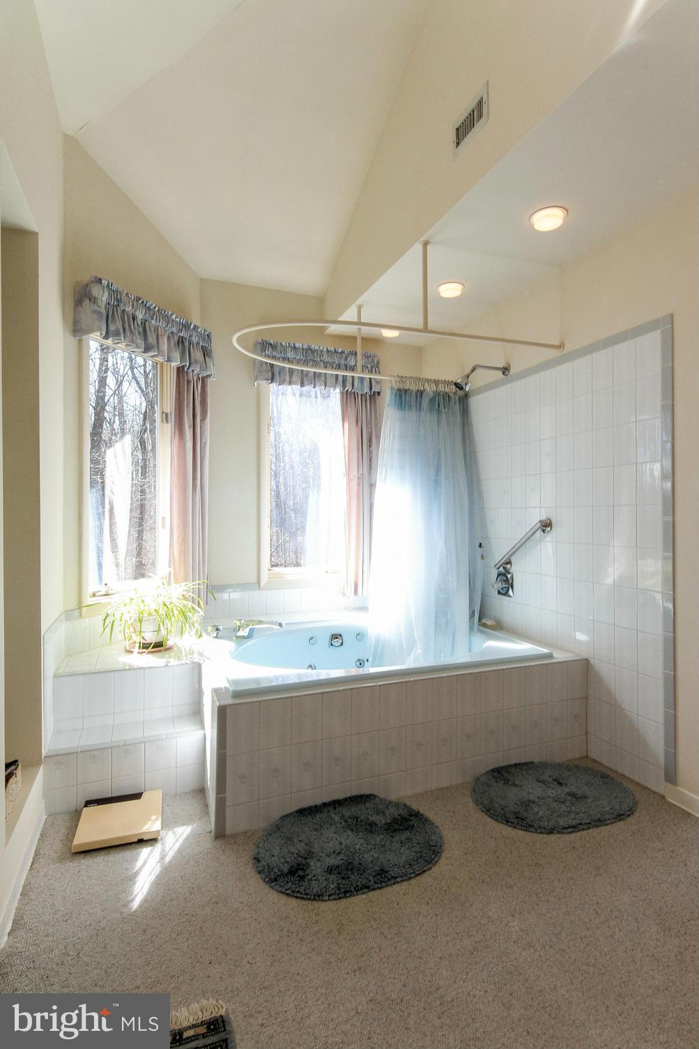 2696 Logmill Road Haymarket, VA 20169 - Photo 17 of 30 Bath (Master)