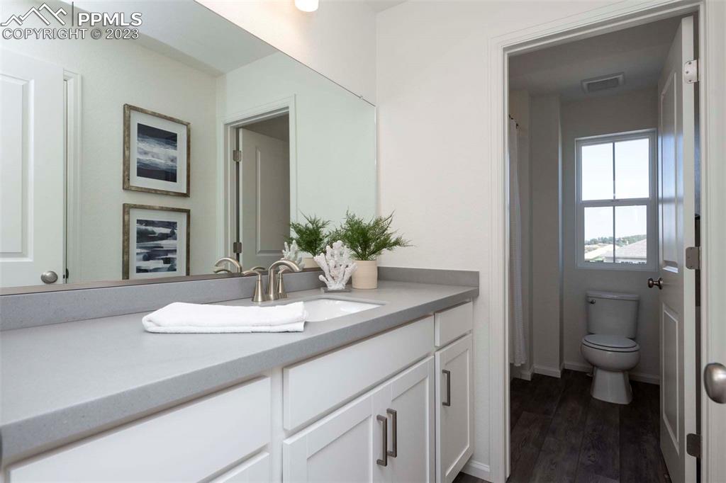 2050 Peachleaf Loop Castle Rock, CO 80108 - Photo 17 of 25 a bathroom with a granite countertop sink a toilet and a mirror
