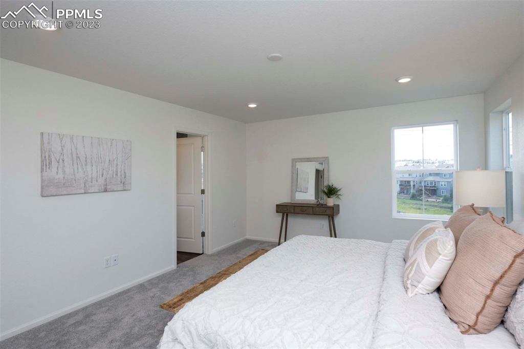 2050 Peachleaf Loop Castle Rock, CO 80108 - Photo 21 of 25 a bedroom with a bed and a window