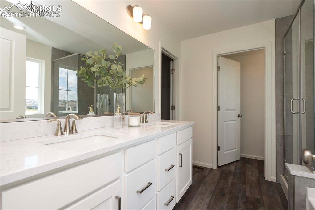 2050 Peachleaf Loop Castle Rock, CO 80108 - Photo 22 of 25 a bathroom with a double vanity sink and mirror with shower