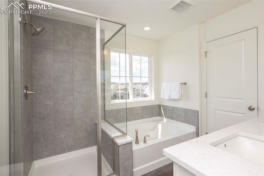 2050 Peachleaf Loop Castle Rock, CO 80108 - Photo 23 of 25 a bathroom with a tub a sink and a shower