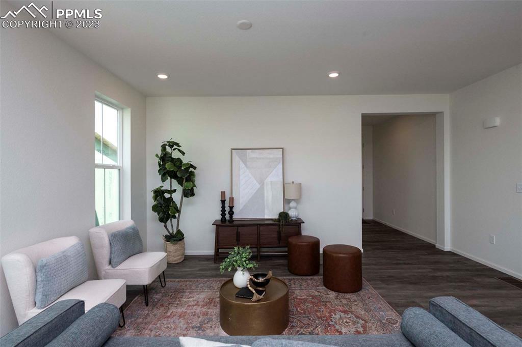 2050 Peachleaf Loop Castle Rock, CO 80108 - Photo 7 of 25 a living room with furniture and a potted plant