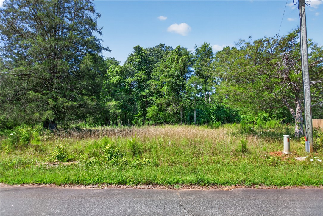 0 Seneca Springs Landing Road Seneca, SC 29678 - Photo 5 of 39 A verdant, cleared lot bordered by mature trees awaits development opportunities.